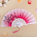 Pikkukuva 1 / 7: Folding Fan Dance Fans 04 04 04