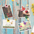 Miniatyrbilde 7 av 8: Push Pins Dekorative Thumbtacks Tegnepinner