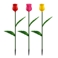 Miniatyrbilde 9 av 10: Blomsterlykt Tulipan 2 2 2