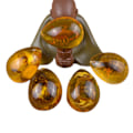 Pikkukuva 4 / 10: Butterfly Amber Stone Hyönteinen Spcimen Riipus SCORPION SCORPION scorpion