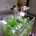 Miniatyrbild 7 av 10: Fiskekattprydnader Katter Fiskefigur 3 3 3