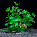Miniatyrbilde 7 av 10: Kunstig vannugras fisketankgress 3 3 3
