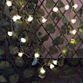 Miniatyrbild 5 av 8: LED Rose Flower String Lights Fairy String Lights VIT white