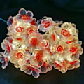 Miniatyrbillede 5 af 10: Cherry Blossom Light String Gårdslampe String BLÅ blue