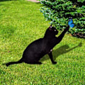 Miniatyrbillede 7 af 10: Kattstatuer Skulpturer Kattedekorationer C C C