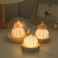 Miniatyrbillede 3 af 7: Shell Mushroom Night Light LED Bordlys SVAMPE LAMPE-C Mushroom Lamp-C