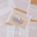 Miniatyrbilde 5 av 10: 10 stk semi-transparente konvolutter Vinduskonvolutter 17X12,5CM 17x12.5cm
