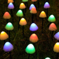 Pikkukuva 1 / 10: Mushroom Fairy Light Fairy String Lights VÄRIT-3.8M12LED Colorful-3.8M12LED