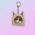 Miniatyrbild 7 av 9: 6st Toast Cat Nyckelring STYLE 2 STYLE 2 Style 2