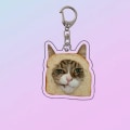 Miniatyrbilde 7 av 9: 6 stk Toast Cat nøkkelring nøkkelring STIL 3 STIL 3 Style 3