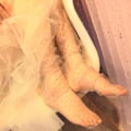 Miniatyrbild 7 av 10: Dot Lace Sock Transparent Mesh Strumpor APRIKOS apricot