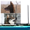 Thumbnail 10