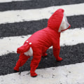 Miniatyrbild 7 av 10: Hund Regnrock hundkläder RED L Red L
