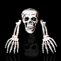 Pikkukuva 1 / 10: Halloween Decoration Props Simulation Skeleton Hand Bone SET A Set A