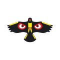 Miniatyrbilde 1 av 10: Eagle Kite Fly Bird Kite TYPE C TYPE C Type C