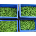 Miniatyrbilde 9 av 10: 10 stk. Fiskeledningssynker Fiskevektsink 15G(10STK) 15g(10pcs)