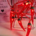Miniatyrbillede 4 af 10: Hot Pepper String Light Farverig Lys String WARM WHITE WARM Warm White