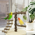 Pikkukuva 4 / 8: Bird Perch Stand Parrot Play Teline Parrot Standing Rack
