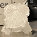 Miniatyrbillede 3 af 8: Isform Isgitter Fremstilling af isterningforme