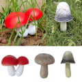 Miniatyrbilde 9 av 10: Resin soppstatue Sopppynt C C C