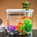 Miniatyrbilde 10 av 10: Goldfish Bowl Goldfish Tank 4 4 4