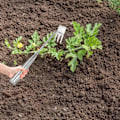 Pikkukuva 4 / 10: Garden Weeder Tool ruohonpoistoaine C C C