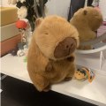 Pikkukuva 5 / 6: Capybara Pehmo Simulaatio Capibara 35CMCAPYBARA JA LAUKKU 35cmCapybara and bag