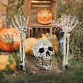 Pikkukuva 8 / 10: Halloween Decoration Props Simulation Skeleton Hand Bone SET A Set A