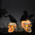 Miniatyrbilde 10 av 10: Skull Head Crow Pumpkin Solar Lamps LED Solar Light 2 2 2