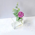 Miniatyrbild 5 av 9: Akrylvas Hydroponisk blomkruka L L