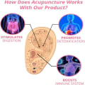 Miniatyrbillede 8 af 10: Lymphvity MagneTherapy Germanium Øreringe Lymphvity Magnetisk Silver