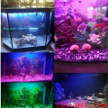 Miniatyrbillede 10 af 10: Bubble Light Colorful Light 25.5CMEU EU 25.5cmEU