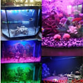 Miniatyrbillede 10 af 10: Bubble Light Colorful Light 45.5CMEU EU 45.5cmEU