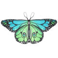 Pikkukuva 1 / 10: Butterfly Wings Butterfly Wings Cape 2 2 2