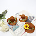 Miniatyrbillede 5 af 6: 2 stk vinflaskehatte Cowboyhat C C C