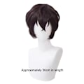 Miniatyrbillede 2 af 8: Anime Cosplay Parykker Hårparyk STYLE 5 STYLE 5 Style 5