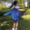 Pikkukuva 6 / 10: Butterfly Wings Butterfly Wings Cape 4 4 4