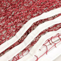Miniatyrbild 6 av 10: 2st Badminton Net Shuttlecock Mesh Standard Training