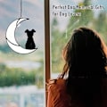 Pikkukuva 9 / 10: Koiran muistoriipus koiran auringonsieppaaja C C C