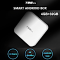 Miniatyrbilde 8 av 10: T95MINI Smart TV-boks Set Top Box EU-kontakt-KK2-