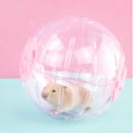 Pikkukuva 4 / 4: Hamsterin juoksupallo, 12,5 cm läpinäkyvä hamsterin juoksupyörä
