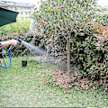 Miniatyrbillede 2 af 5: Havehose, 100ft/30m Udvidbar Havehose Fleksibel Slange Udvidbar Slange (FMY)