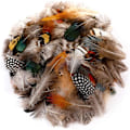 Miniatyrbillede 3 af 3: Fjer Naturlige fjer Blandede fjer