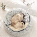 Miniatyrbillede 3 af 4: Plys Kæledyrskurv, Donut Halvlukket Varm Kurv til Hund Kat