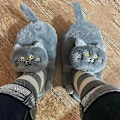 Miniatyrbillede 3 af 5: Dame hjemmesko i plys kat, hjemmesko til par, blød skridsikker blå grå