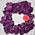 Miniatyrbilde 4 av 4: Rose Silkeblader 200 Stykker Til Bryllup, Jul, Bursdag