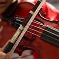 Pikkukuva 2 / 5: 3 kpl Viulun Jousikarvan Vaihtosetti Viulu 29,2 Tuuman Fiddle Jousi Uudelleenkarvaustyökalut Musiikki Jousikarva Viol