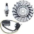 Miniatyrbillede 1 af 4: Svinghjul Tændspole Kit Med Tændrør Kompatibel Med Stihl Ms231 Ms251 Ms 231c Ms 251c Erstatning 11434001307 1143 400 1203 -cdsx