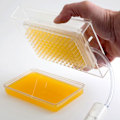 Miniatyrbilde 2 av 3: 1 sett med profesjonell molekylær gastronomi kaviar maker kaviar filter sfærifisering dråper