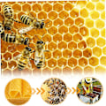 Miniatyrbillede 3 af 5: Bivoksplader Bivoksfundamentplader Voksfundament til bierammer Naturlige honeycomb-plader Bier